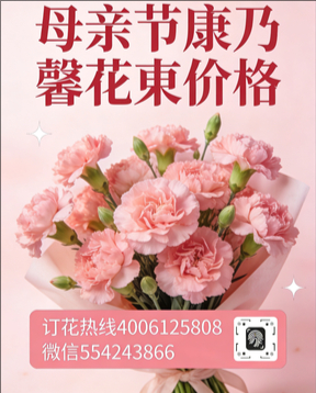 青岛花店母亲节康乃馨花束